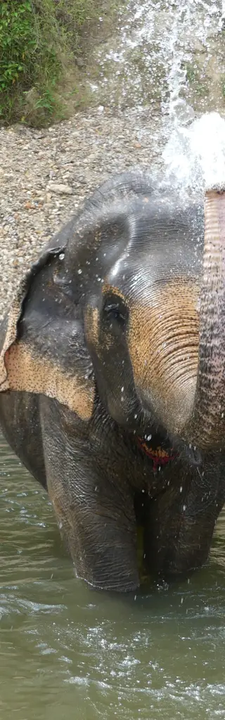 Thailand als Familie entdecken – Naturwunder, Städtetrubel, Unterwasserwelt und feuchtfröhliches Fest Songkran